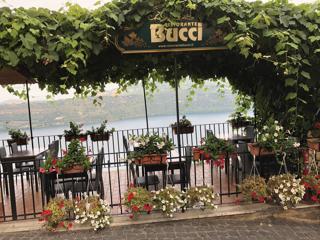 Love Among the Castelli Romani