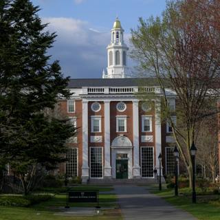 Harvard, deportations, American gas and basketball in Europe