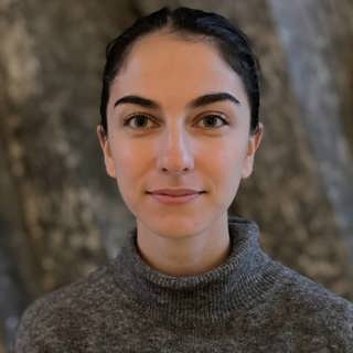 Romina Pourmokhtari (L): Utsläppen i år ökar mer än vi bedömt i våra beräkningar