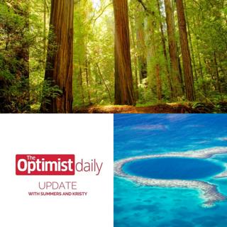 Resilient Redwoods and Conserving the Belize Barrier Reef