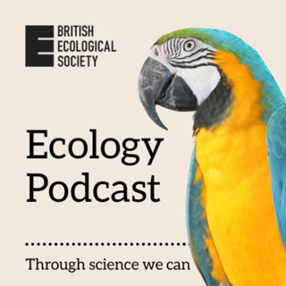 Drone use in Ecology with Jenna Klein | 2025 Robert May Prize Winner