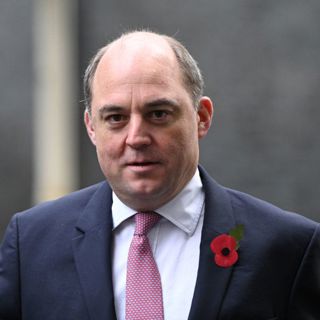Why isn't No 10 stopping the Wallace-Raab war of words?