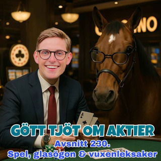 230. Spel, glasögon och vuxenleksaker