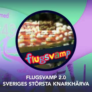 Flugsvamp 2.0 – Sveriges största knarkhärva – P3 Nyheter Dokumentär