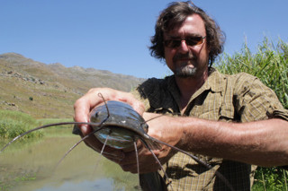 341 - "Would a Walleye by any other name taste as sweet?" A discussion on how fishes get their names with Dr. Nicholas Mandrak