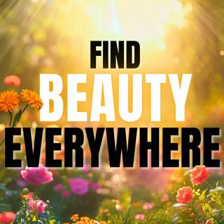 Find Beauty Everywhere | Positive Mindset Meditation