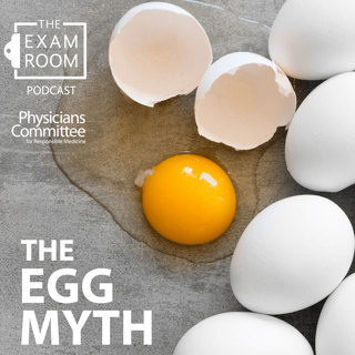 The Egg Myth
