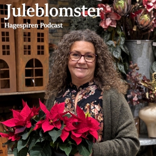 49/24: Juleblomster med Merethe Hoff