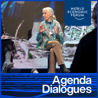 Davos 2024: Earth's Wisdom Keepers
