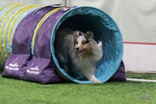 271: All About the Tunnel – Part 1