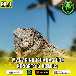 Managing Iguanas in Resorts and Hotels: Protection, Prevention, and Solutions