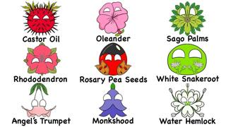 Every DEADLIEST Plant Explained in 10 Minutes | The Analyst