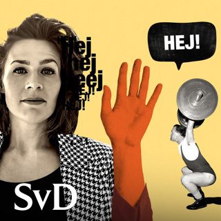 Det sociala experimentet