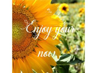 Weekly Astrology and Energies of June 13 to June 20