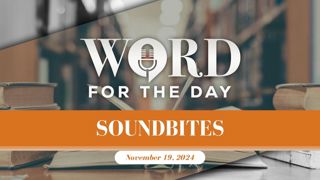 Soundbites