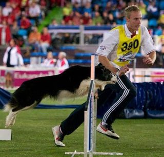 101: Interview with Crufts Judge Lee Gibson – Part 2
