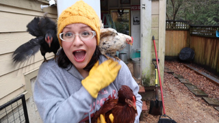 Finding Chicks