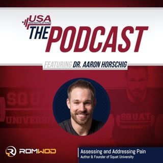 Assessing and Addressing Pain w/Dr. Aaron Horschig