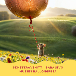 Musses ballongresa