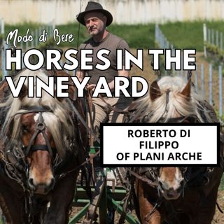 S1E5 Horses in the Vineyard with Roberto di Filippo of Plani Arche