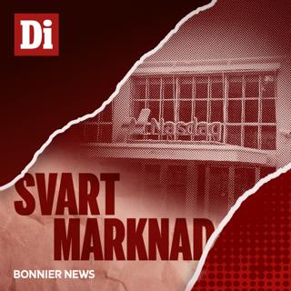 Nasdaqhärvan: ”Som att lösa ett spaningsmord” (1/2)