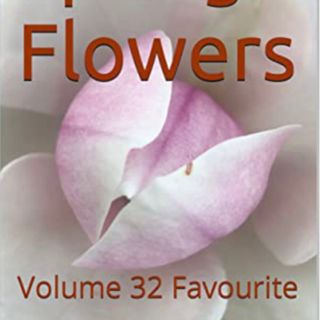 Spring Flowers Volume 32 Favourite by Daniel Lucas