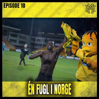 Episode #10: Én fugl i Norge