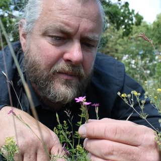 Så får Emil ängsmarken att blomma igen – med kornas och mikrobernas hjälp
