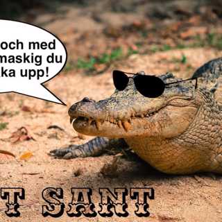 Smart mat och coola krokodilöron!
