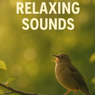 Relaxing Sounds | Forest Birds in the morning | 8 Hours Sleep,Study,Relax