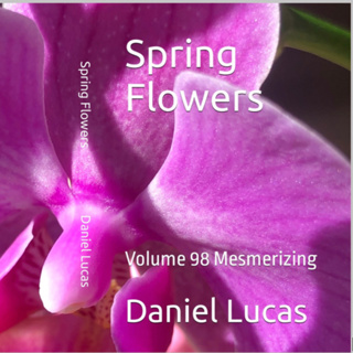 Spring Flowers Volume 98 Mesmerizing by Daniel Lucas