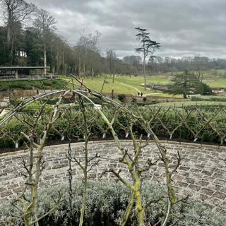 Apple Pruning, Allotment Preparation, and the Thinking Behind Plant Names
