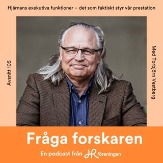 105. Hjärnans exekutiva funktioner – det som faktiskt styr vår prestation