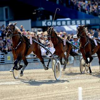 Söndagsutgåvan: En kväll på travet