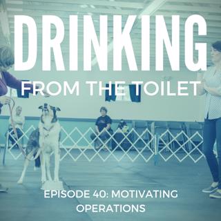 #40: Motivating Operations