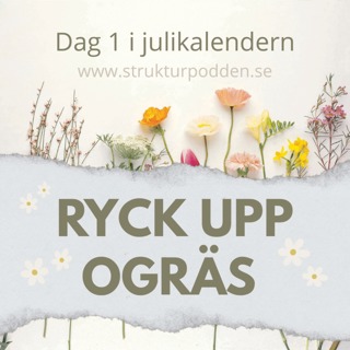 Julikalender 1