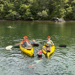 The group diving for beer cans and baby doll heads