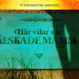 De mördade sin mamma - Lillebror | Del 1/3