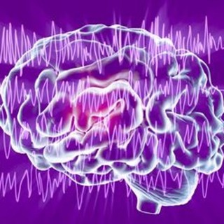 Education: Common Warning Signs & Symptoms Before, During & After a Seizure