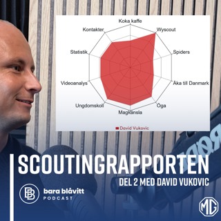 678. Scoutingrapporten