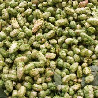 The 2024 Hop Report