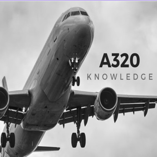 A320 How to Use The Bird