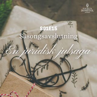 S01E15 - En juridisk julsaga
