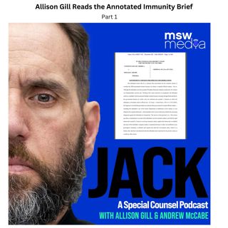 Reading the Annotated Immunity Brief | Part 1