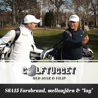 S6A15 Forsbrand, mellanjärn & “lag"