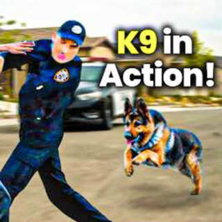 Top Police K9 Takedowns & Captures Caught on Bodycam