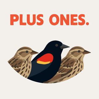 Okay, but did birds originate the open relationship?