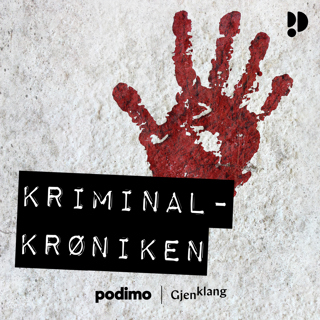 Kriminalkrøniken: Desperado i forstaden