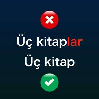 Numerals and Quantifiers with No Plural Suffix