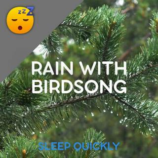 😴🌧️ RAIN with Birdsong in the FOREST